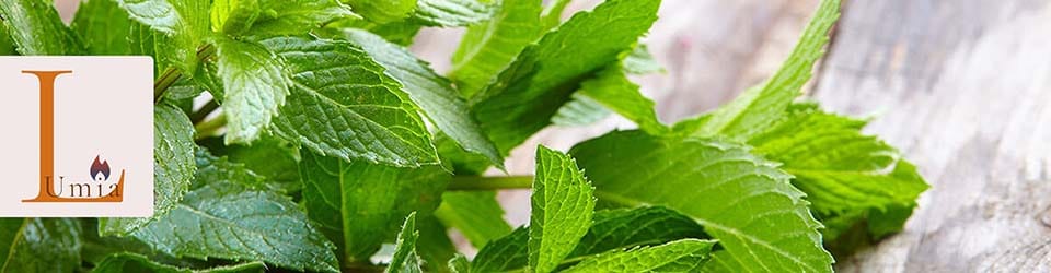 خواص رایحه های مختلف شمع های معطر نعنا